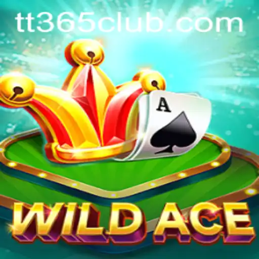 WildAce: A Thrilling Adventure with TT365